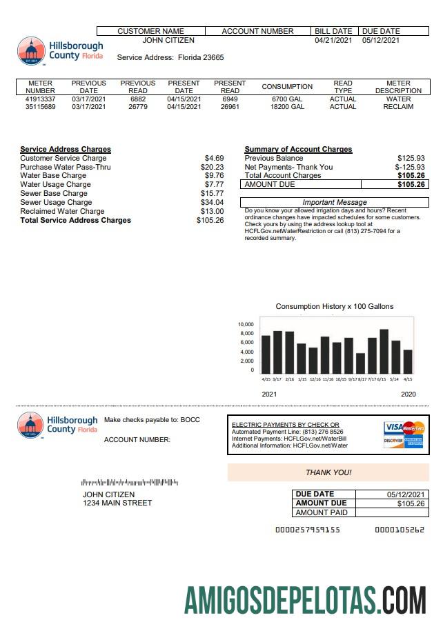 Para baixar modelo de conta de serviços públicos do condado de Hillsborough dos EUA em formato Word e PDF